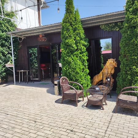 Hotel В Гостях На Иссык-Куле Czołponata Zewnętrze zdjęcie
